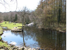 Cwm Nantcol